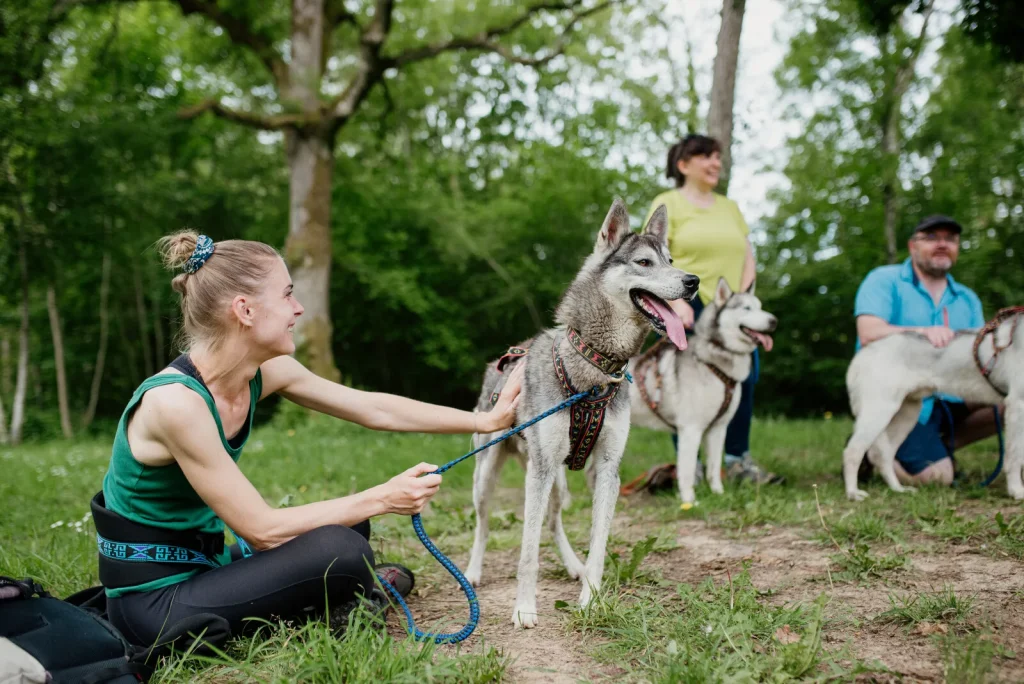 Cani-rando au départ de Saint-Céneri