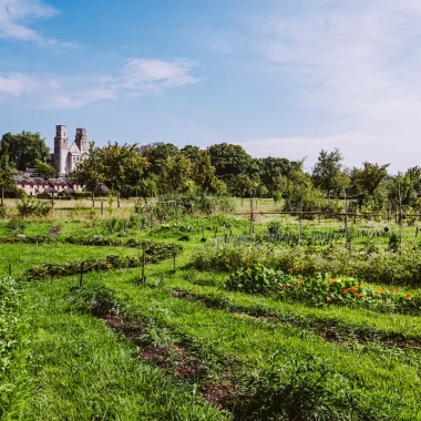 Vue sur le potager de l'Abbaye de Jumièges avec l'abbaye en arrière-plan