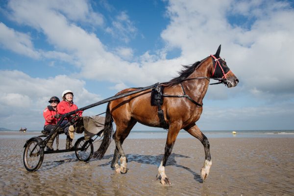 Expérience Normande : Baptême de trot attelé sur la plage de Deauville, sulky