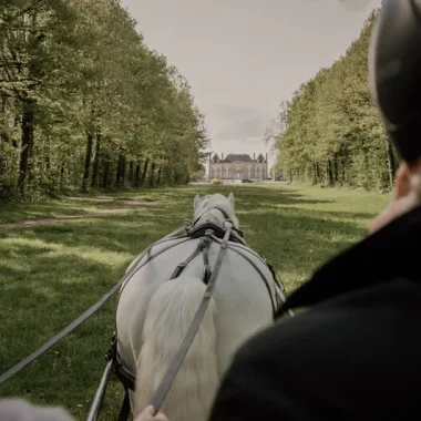Expérience Agent d'un jour au Haras du Pin, attelage