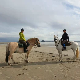 Accueil presse allemande cheval