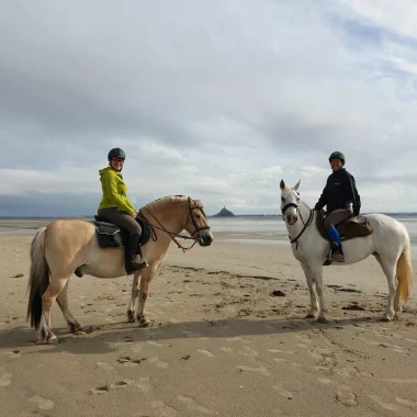 Accueil presse allemande cheval