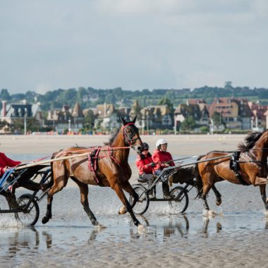 Expérience Normande : Baptême de trot attelé sur la plage de Deauville, sulky