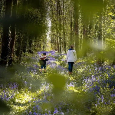 Balade en forêt © Bleu Nacre