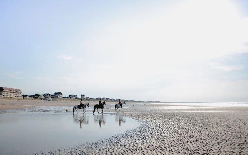 Le tourisme équestre normand dans la presse nationale
