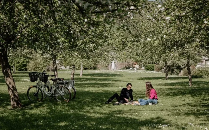 Une vidéo de destination  des quatre saisons