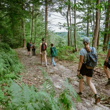 Groupe de randonnée dans la forêt de Brionne