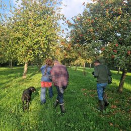 Accueil presse Bobine, cidre