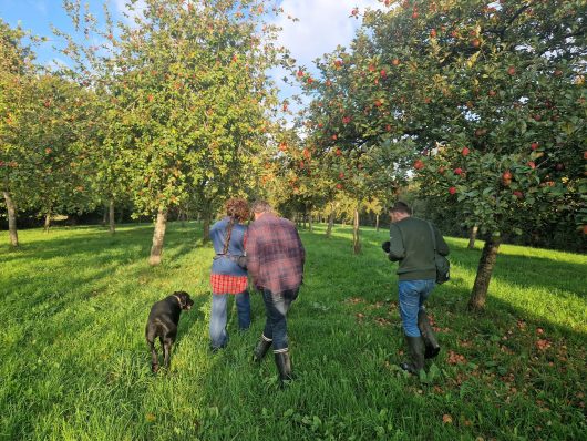 Accueil presse Bobine, cidre
