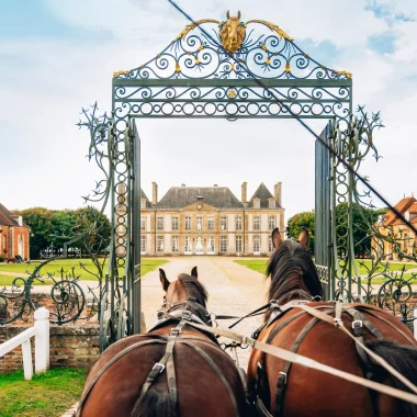 En attelage devant la grille d'entrée du Haras National du Pin