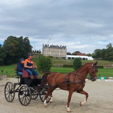 Accueil presse britannique sur la thématique du cheval 2022