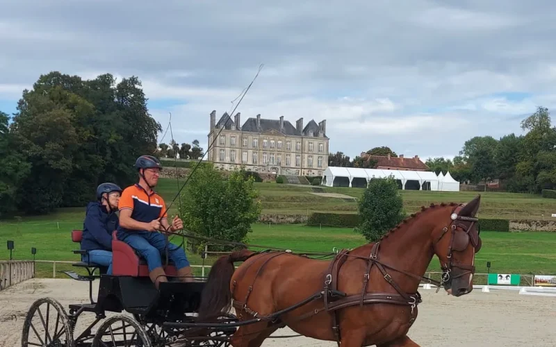 Accueil de presse britannique sur le thème du cheval