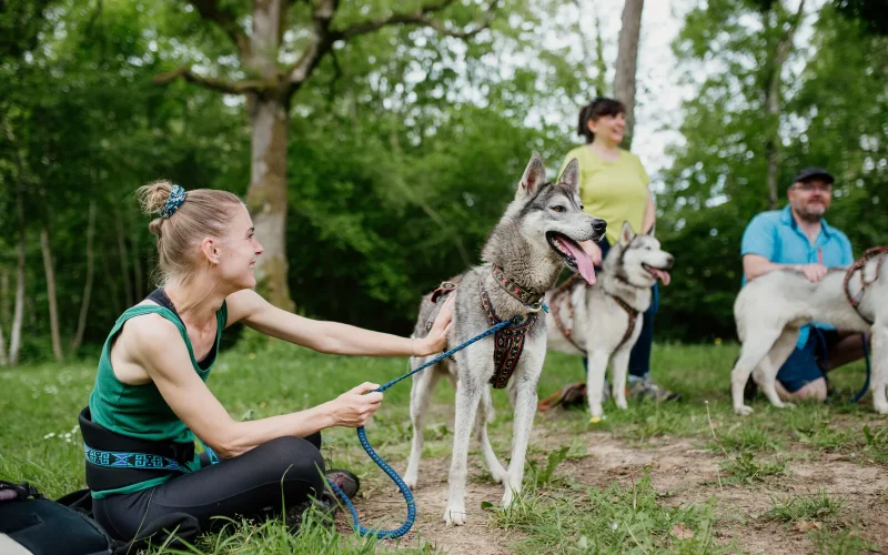 La Normandie, une destination « dog-friendly »