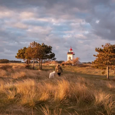 Pointe d'Agon Phare et chien Agon Coutainville