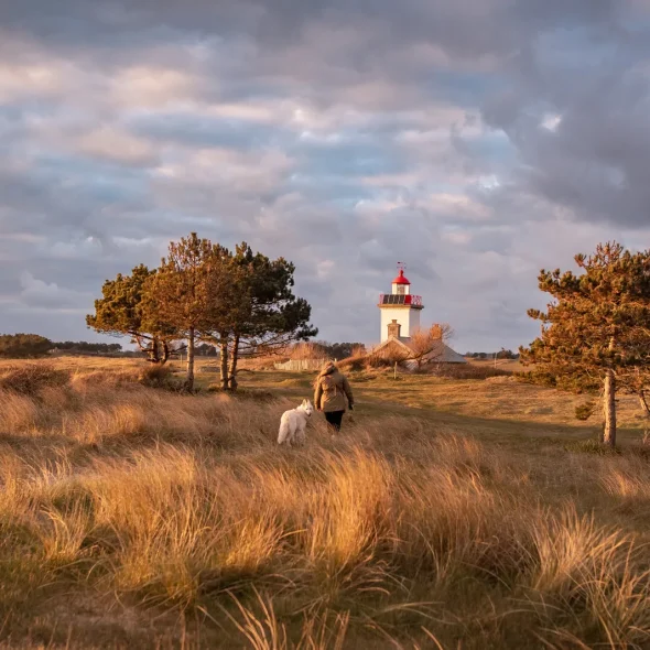 Pointe d'Agon Phare et chien Agon Coutainville