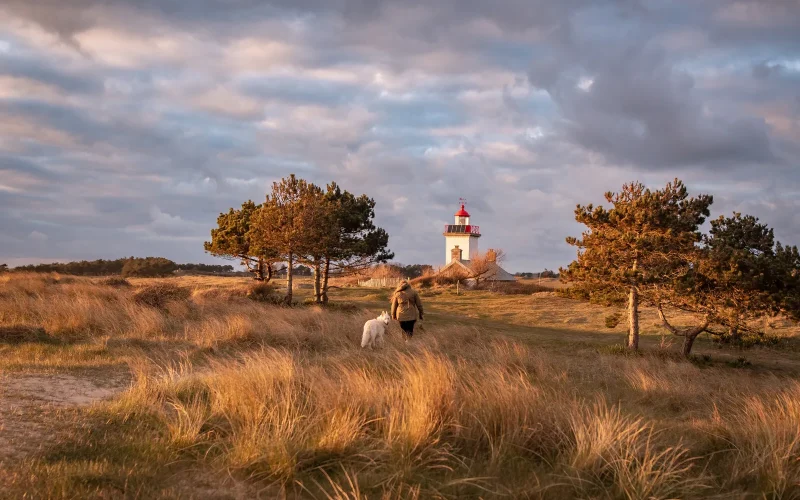La Normandie poursuit sa démarche dog-friendly en 2023 !